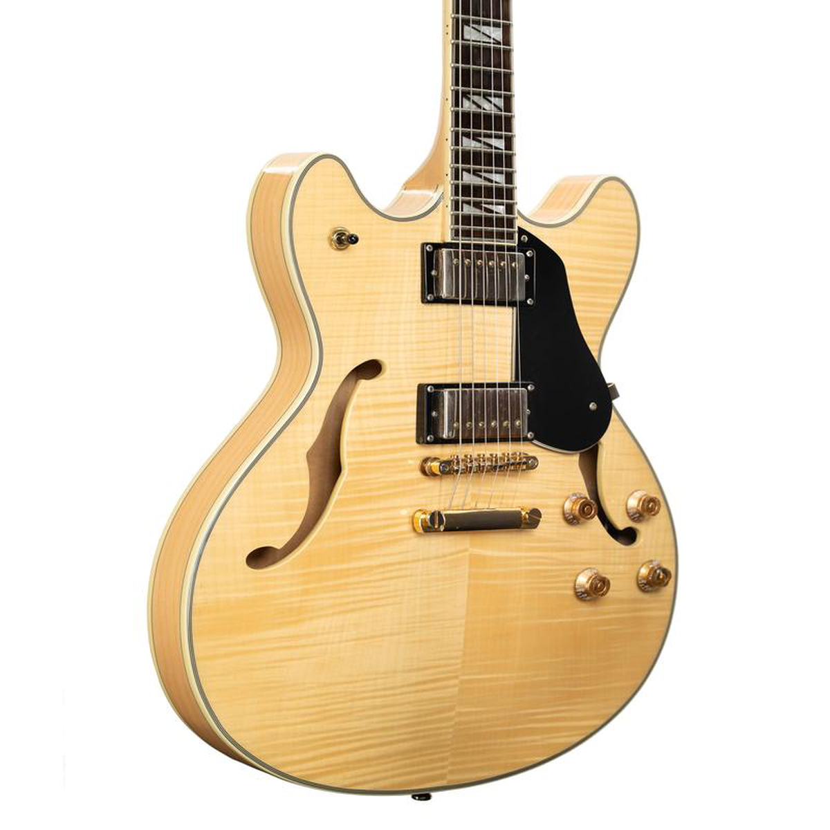 Pre-Owned Washburn HB-35NK Semi-Hollow Electric Guitar Used