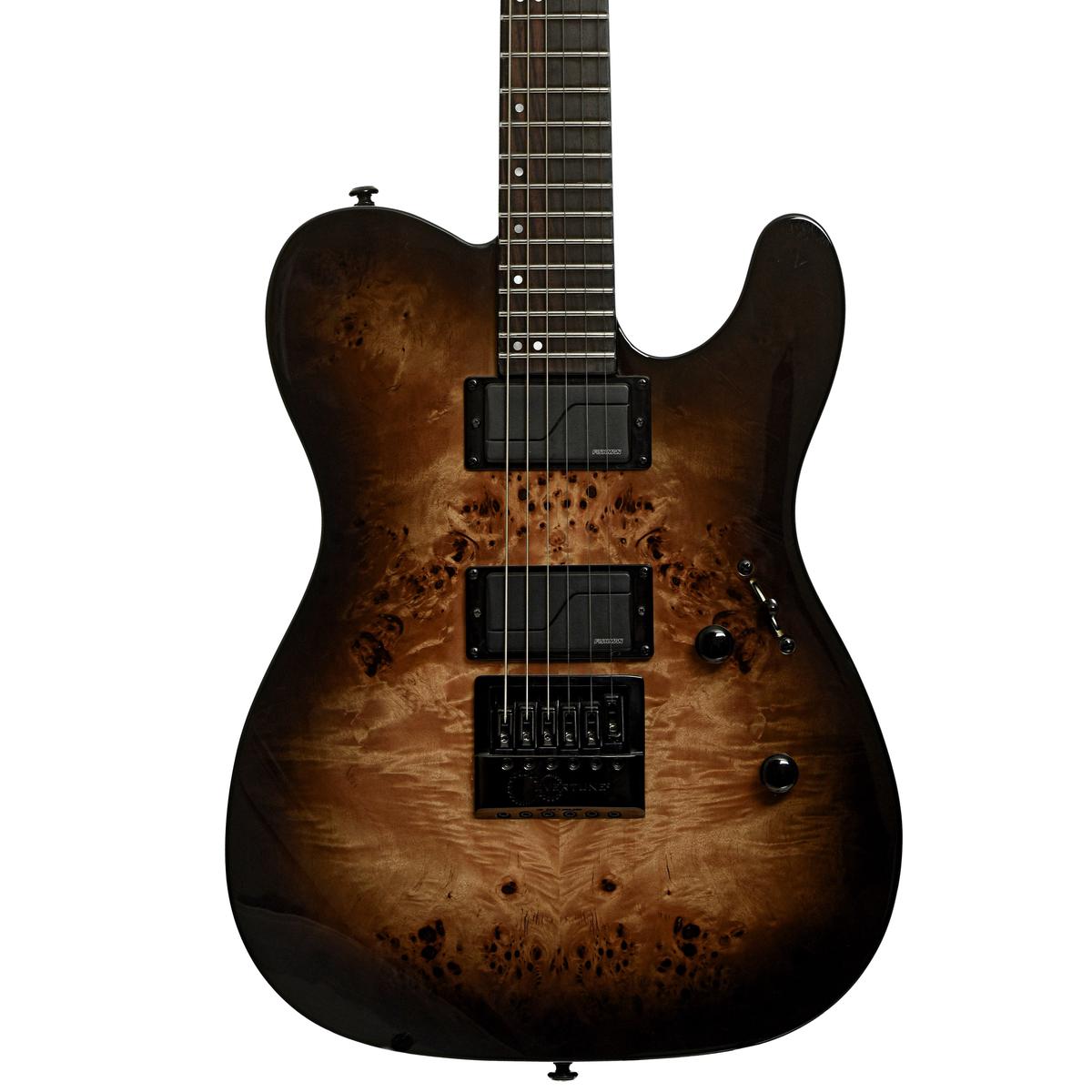 ESP LTD TE-1000 Deluxe Evertune Electric Guitar (2023)