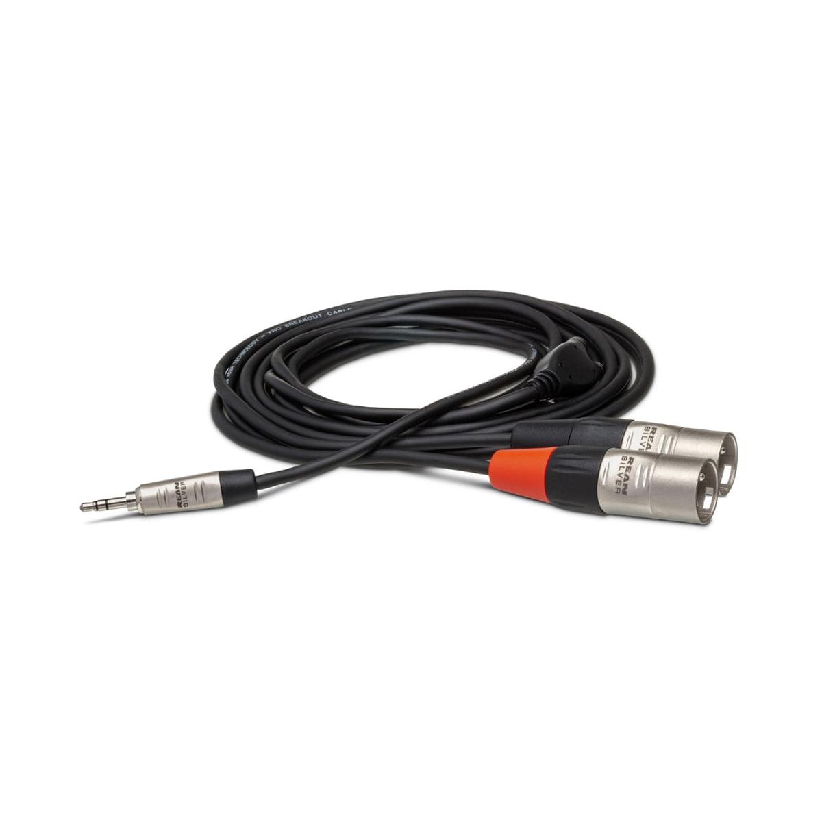 Hosa Technology REAN 35 mm TRS to Dual XLR3M Pro Stereo Breakout Cable 3ft