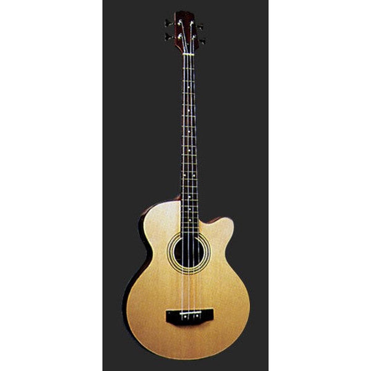 Jay Turser - JTB-D100 Acoustic Bass
