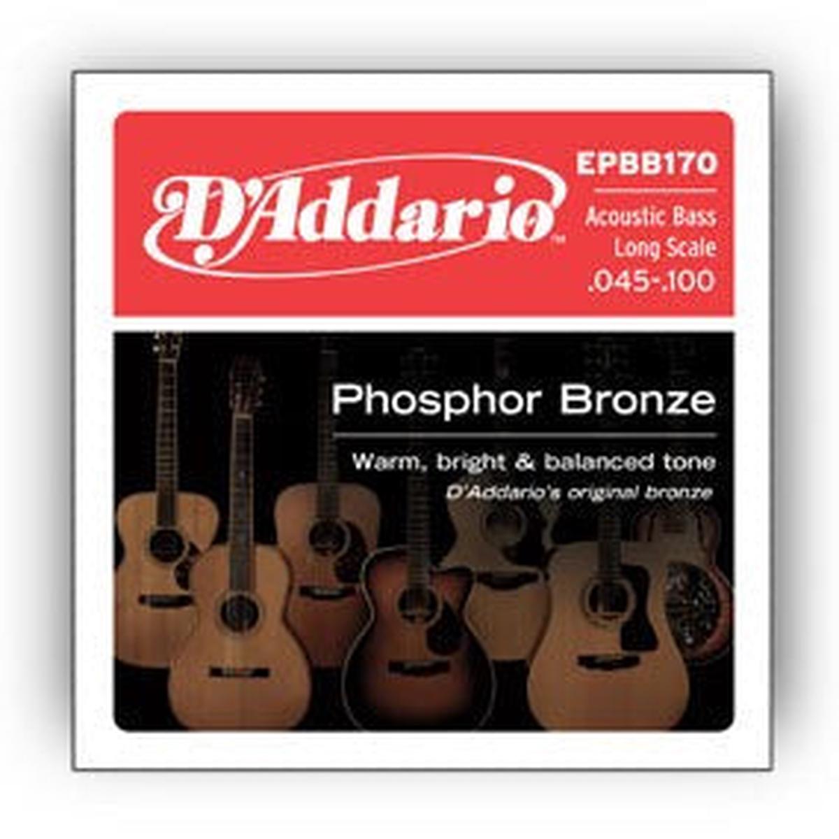 D'Addario - Acoustic bass strings EPBB170